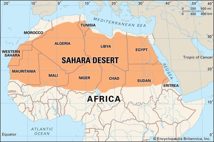 The sahara of the bozart