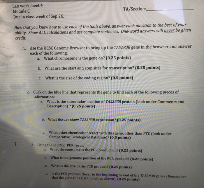 Making connections lab answer key pdf