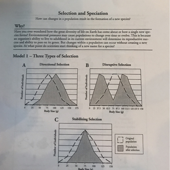 Selection and speciation pogil answers