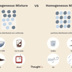 Heterogeneous homogeneous mixtures examples difference between types thoughtco mixture chemistry science diagram illustration vs hugo lin these type