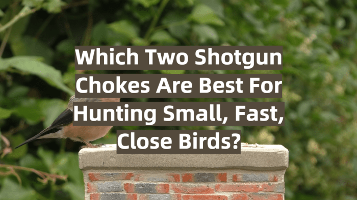 Choke duck hunting ultimate guide reviews contents 2021