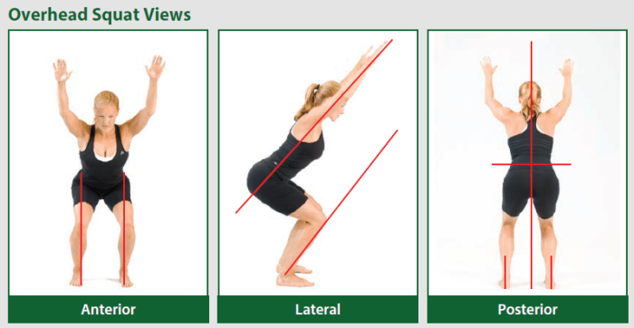 What depth is suggested for the overhead squat assessment