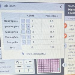 Blood differential white blood cell count virtual lab answers