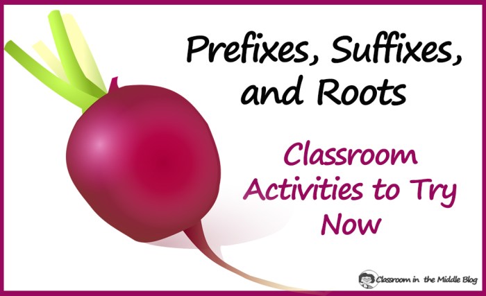 The illustrated classroom roots prefixes and suffixes answer key