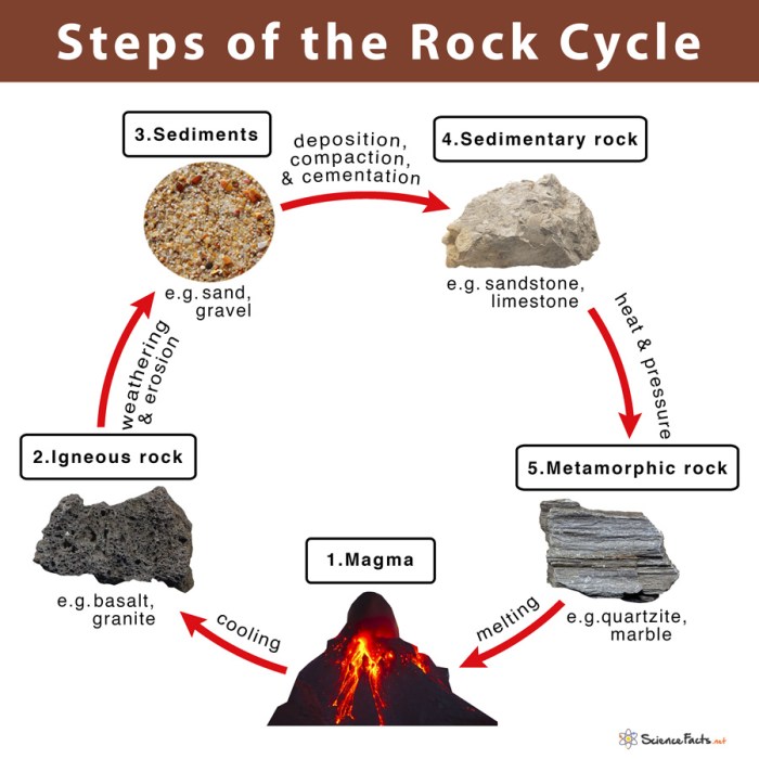 The rock cycle in the earth's crust worksheet