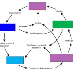 The rock cycle in the earth's crust worksheet